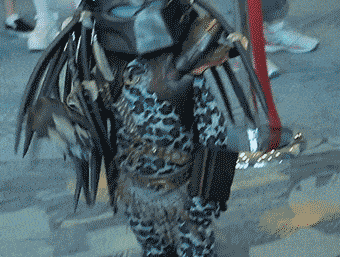 luisgpiercing:  vardoeger:  best-of-imgur:  Never judge a predator by its mask.http://best-of-imgur.tumblr.com