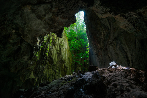 Clearwater Entrance by Bryn Tassell