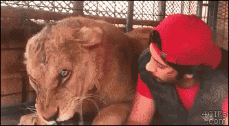 jealously:  bopeep:  4gifs:When your significant other is in a bad mood but still