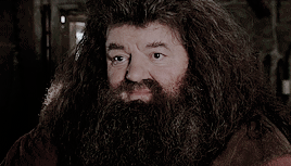 ghostelf:Get to Know Me Meme: 3/5 - male charactersRubeus Hagrid, the Harry Potter series“I never kn