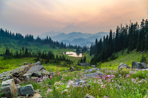 bsharp321:Smokey sunset over Mount Rainier.