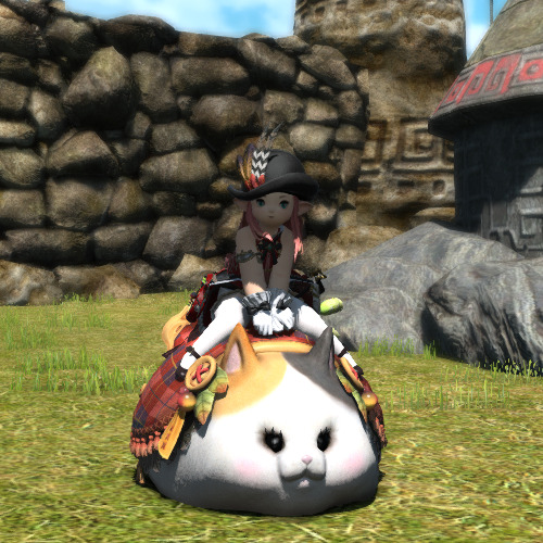 Hi yes excuse me while I geek out over FFXIV’s newest and best mount, the Fatter Cat.