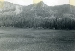 twoseparatecoursesmeet:  Meadow, 1950s 