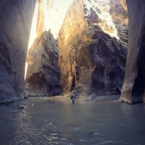 Zion National Park Part II Yesterday we woke up early and hiked The Narrows. Which was probably the 