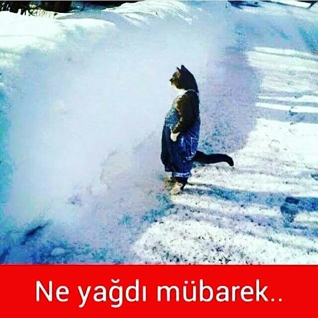 Ne yağdı mübarek