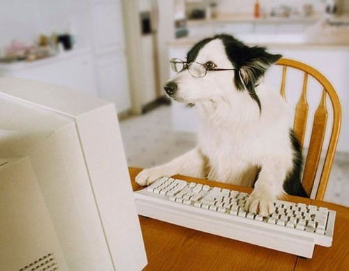 lolexpress:  LOL EXPRESS: tumblr lol