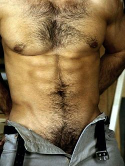 2hot2bstr8:  DEAR GOD HE IS PERFECT!!!!!!!!!!!!!!!!!!!! Get that man on top of me NOW♡♡♡  THAT BODY HAIR IS SO HOT Fuckkkkkkkkkkk!!!!!♡♡♡ I literally want to bury my face in his crotch…..seriously I cannot even…..