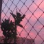 like-neon-lights