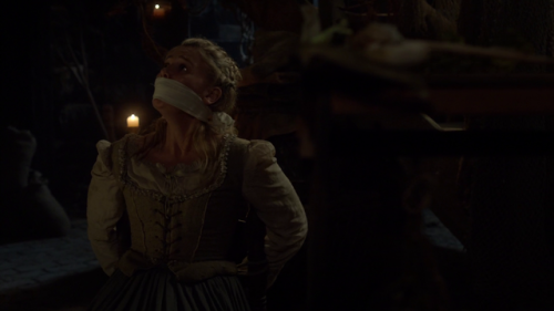 gentlemankidnapper:Megan Hutchings in the TV Serie Reign