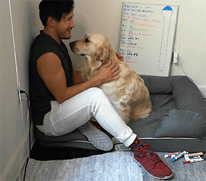dogiplier:  SUCH A GOOD GIRL