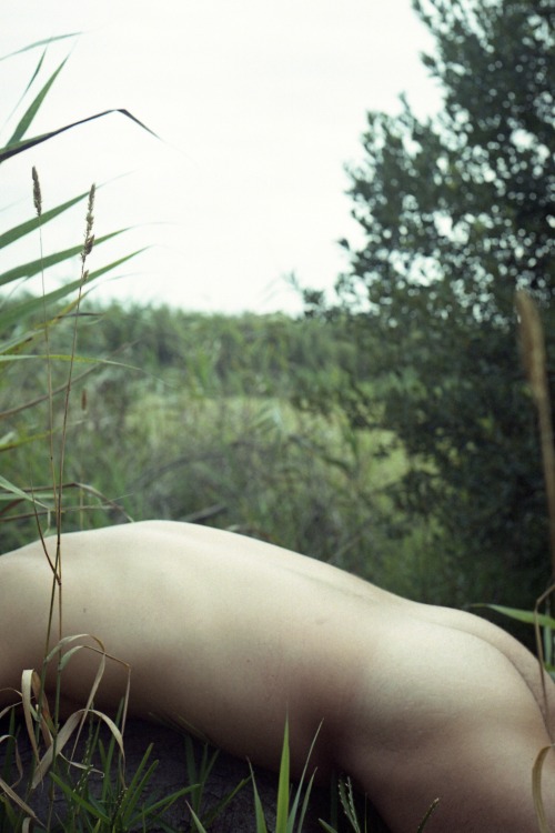 picsofyou:  Tronco with Canon Ft Ql follow me on: Flickr | Facebook | Society 6 