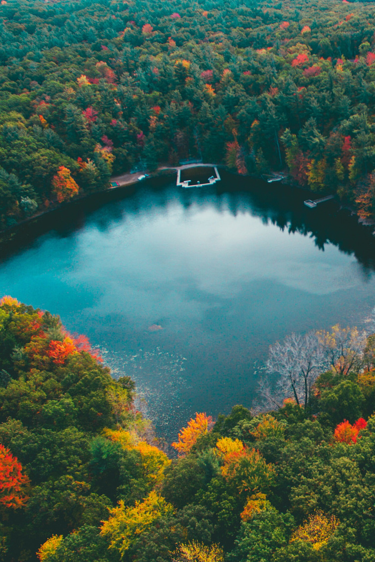 lsleofskye:  Little Bostwick