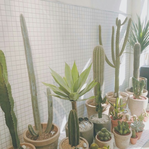 http://ymdxrys.tumblr.com/post/150224349937