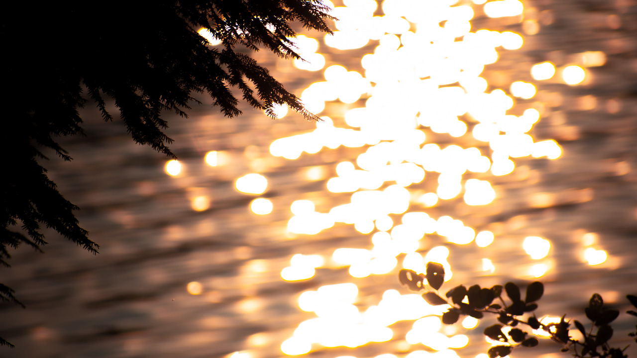 Tumblr Photo