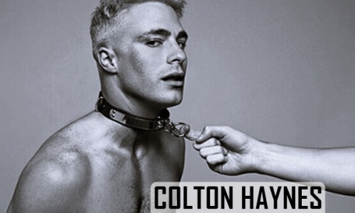 Porn photo boysdoluke-on:  🔞 Colton Haynes 🔞Site: