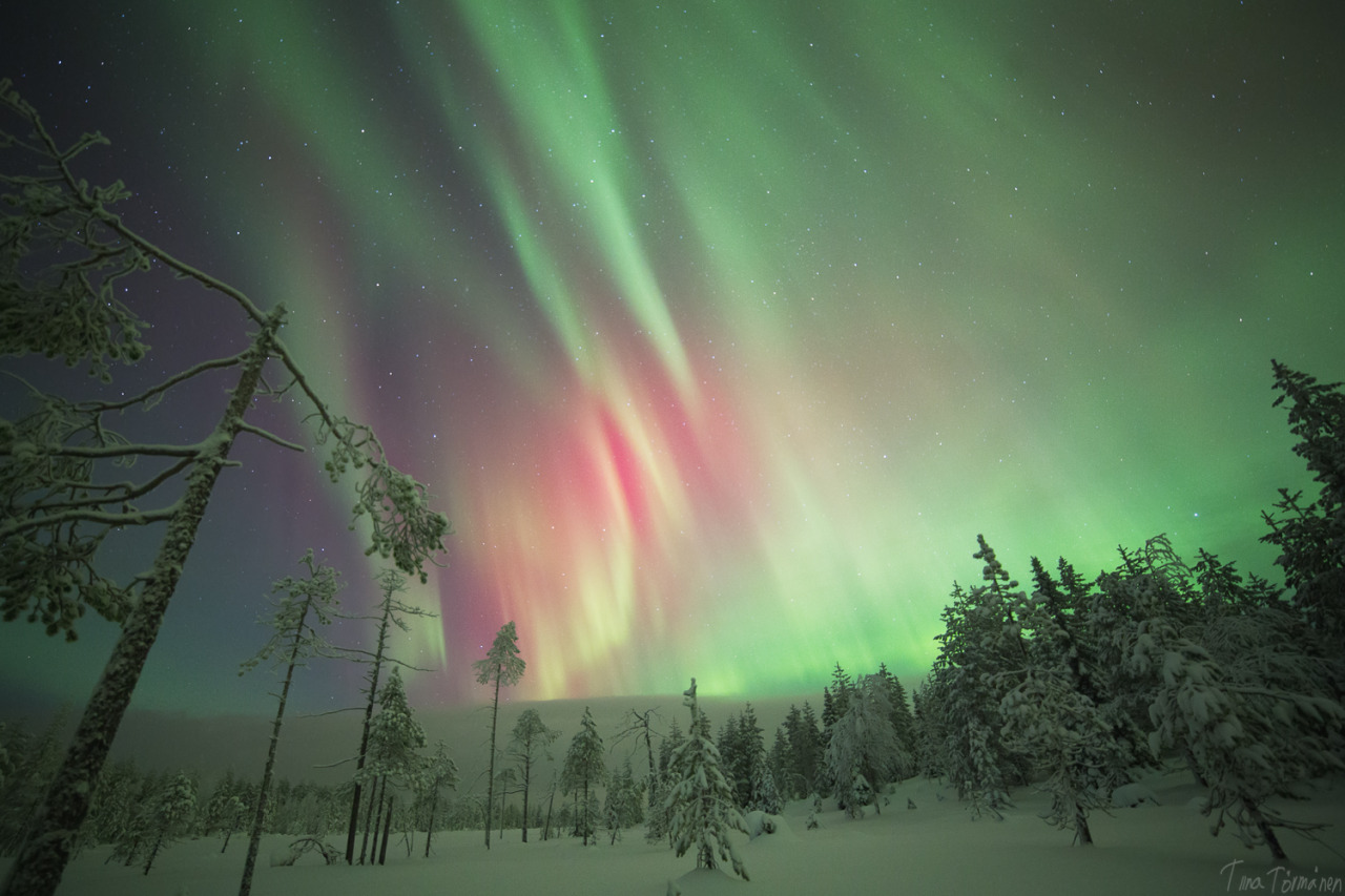 tiinatormanenphotography:  X - Mas Auroras.  23th Dec 2014, Southern Lapland, Finland. 