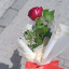 243cem