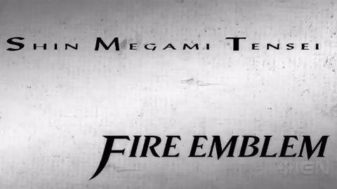 setsunasbeartrap:  With the NX coming soon the Wii U will be forgotten so let us