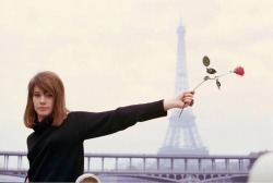 niniaglietta:  Françoise Hardy by Jean-Marie