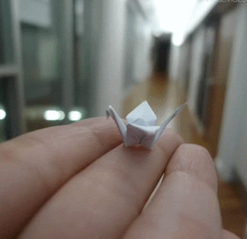 — Origami      …
