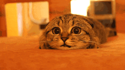 itutune:  For other gifs http://gifini.tumblr.com/