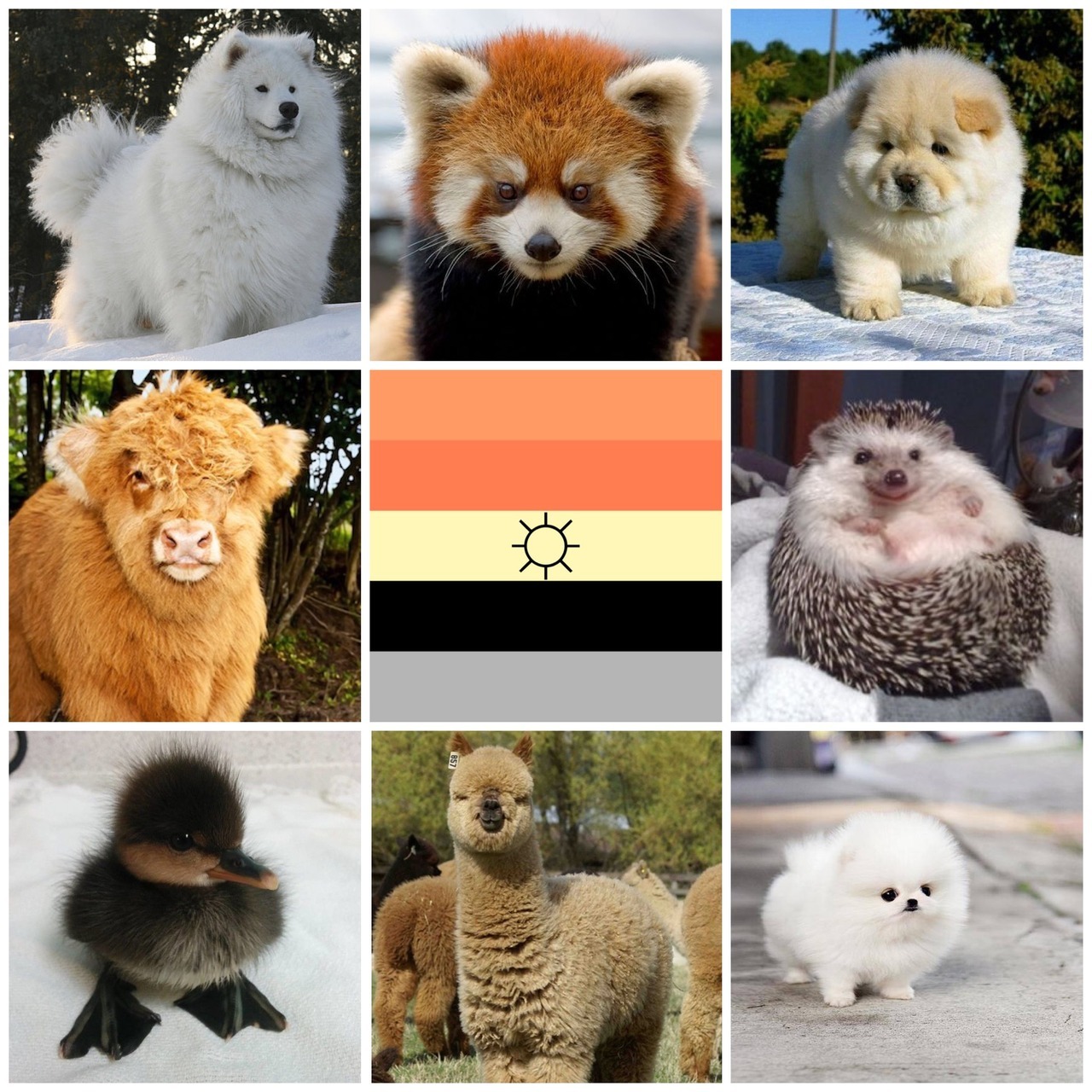 solarian fluffy animals moodboard - queer moodboards