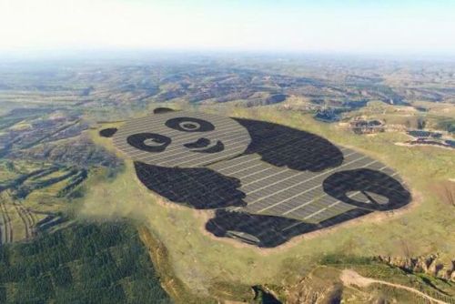 The Chinese solar power company Panda Green Energy built a giant solar installation as an adorable P