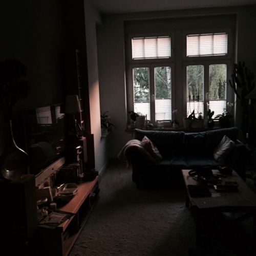 vernunftsspiel:  today our living room was so pretty 