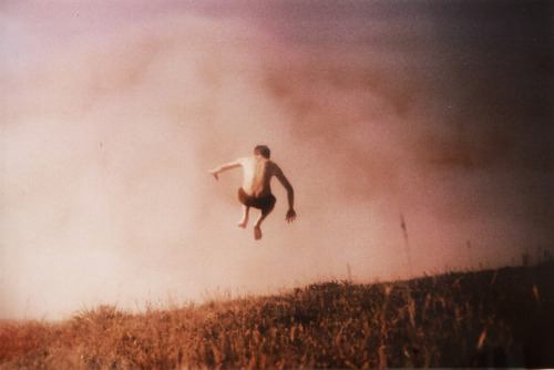 trefoiled:  Robert Moses Joyce