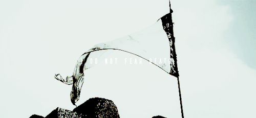 yilluuni:Eowyn & Aragorn, The Lord of the Rings.