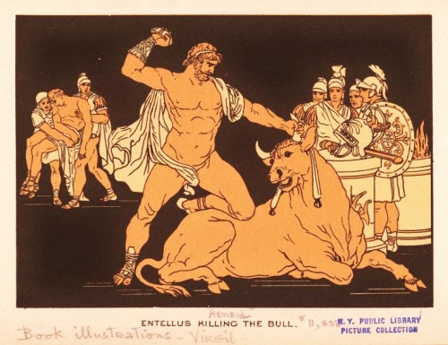 hadrian6: Entellus killing the bull.  Bartolomeo Pinelli. Italian. 1781-1835. photo mechanical 