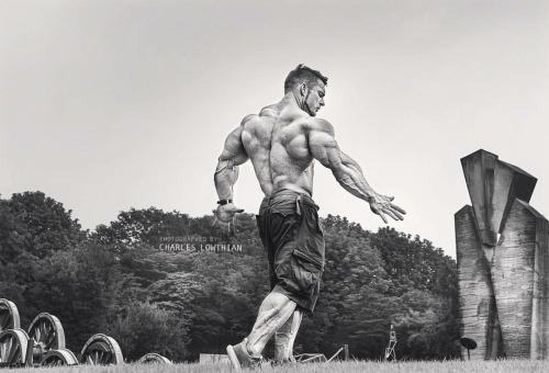 dragon86xxx:Flex Lewis
