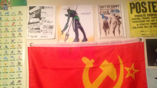 swarnpert:redid my wall and added a bunch of shit