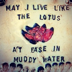buddhabe:  May I live like the lotus, at