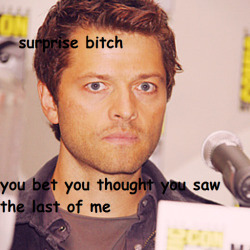 youdtearthiscanvasskinapart:  castiels-assbutt-loves-pie:  oh god im so sorry im a bad person  FUCK ALL OF YOU 