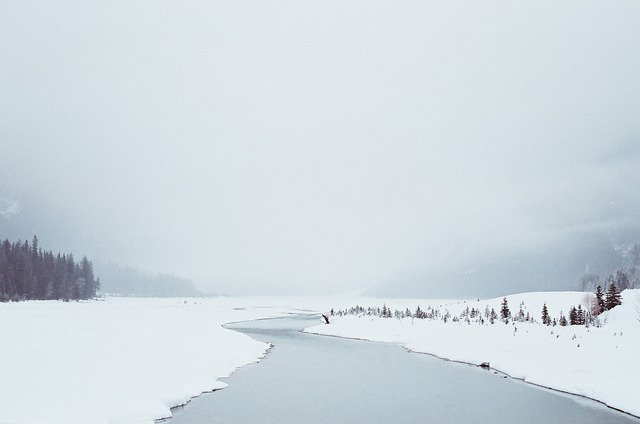 grett:  016 by ben giesbrecht on Flickr. 