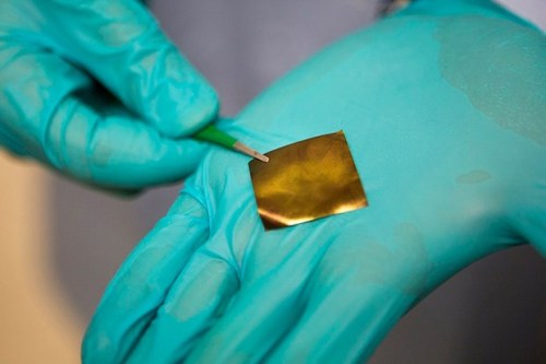 neuromorphogenesis: Stretchy gold electronics could one day live inside your brain What looks like a