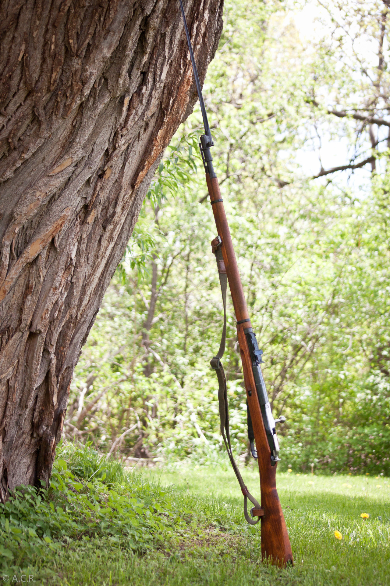 cerebralzero:  silversaurus:  Did a quick shoot for a 1939 Mosin.. What a beauty. 