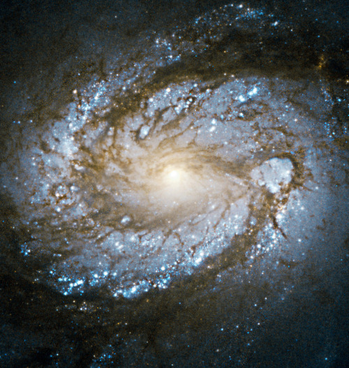 spaceplasma: Messier 100 is a perfect example of a grand design spiral galaxy, a type of galaxy with