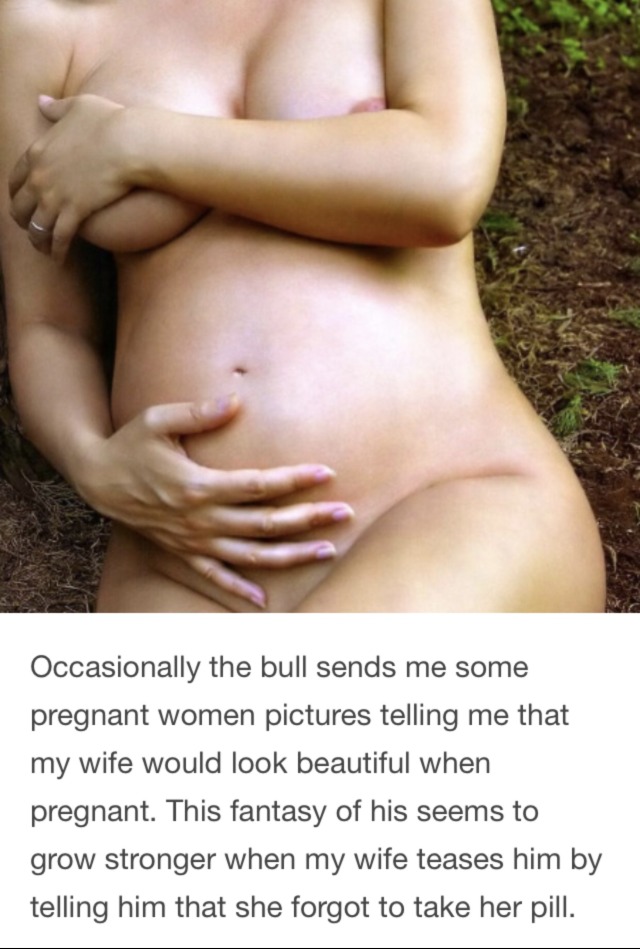 daleandsarah:tuflehunden:Nice to see a Bull