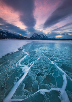 seafarers:  Abraham Lake Winterscape by Chip