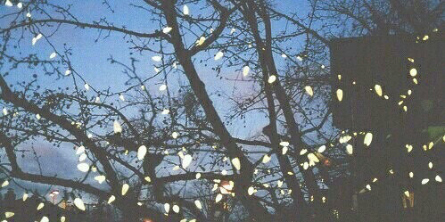 fotos tumblr