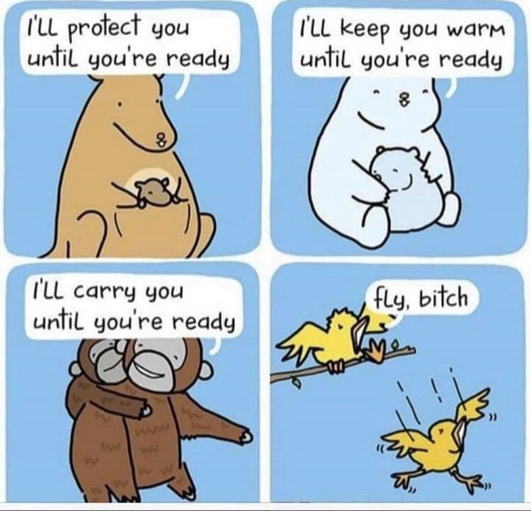 ILL protect you until...