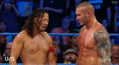 Sex temomi:  Message for next week WWE SMACKDOWN pictures