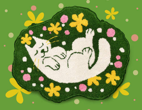 New Rug! Cat Nap In The Sun!