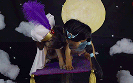 mashable:  You know what will make your favorite disney movies better? Puppies. [via]