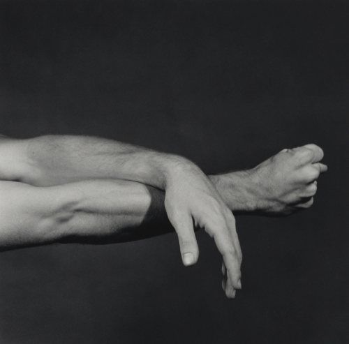 alanspazzaliartist:  Robert Mapplethorpe NYC Contemporary Ballet, 1980 