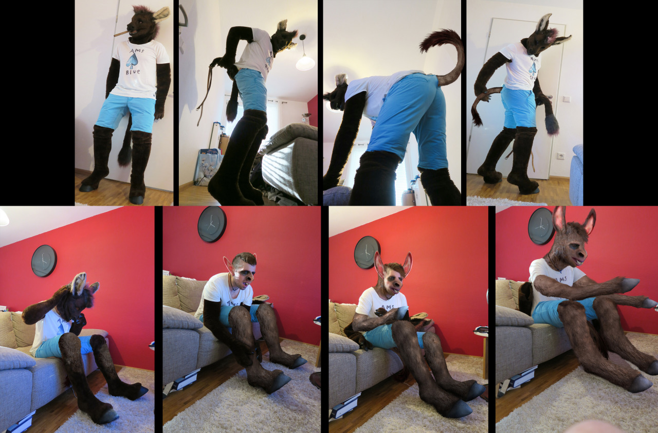 hmh452002:  Forget the Fursuit! There’s always been a proverbial saying “Act