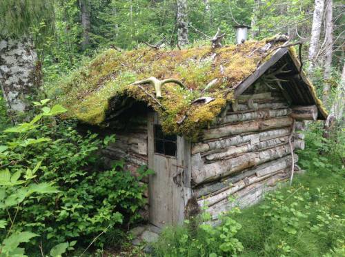 digitalramen:jeremylawson:Bella Coola CabinYou wouldn’t even know this tiny house is the