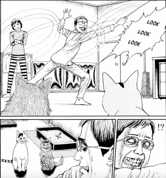 weaver-z: Shout out to acclaimed horror mangaka Junji Ito for writing a cute slice of life comedy about competing with his wife for the affection of his two cats and REFUSING to change his eerie, body-horror-filled, vertigo-inducing art style at all for